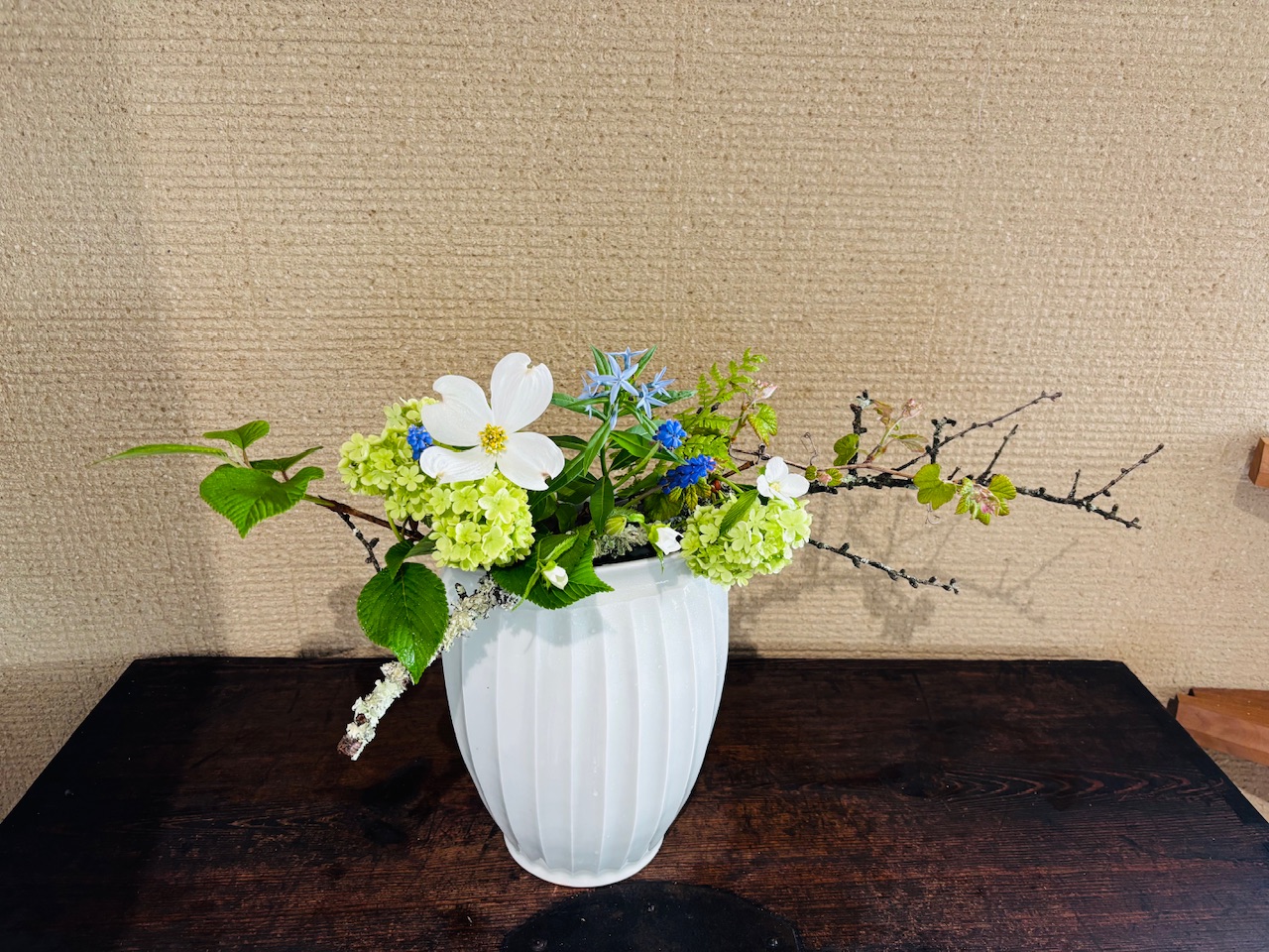 本日のクリニックの花々