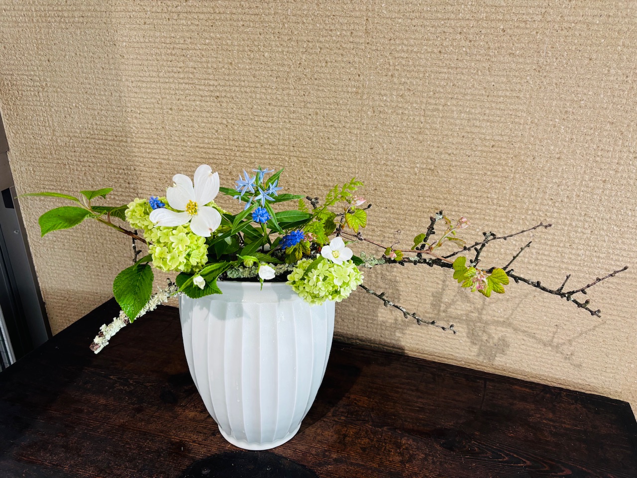 本日のクリニックの花々