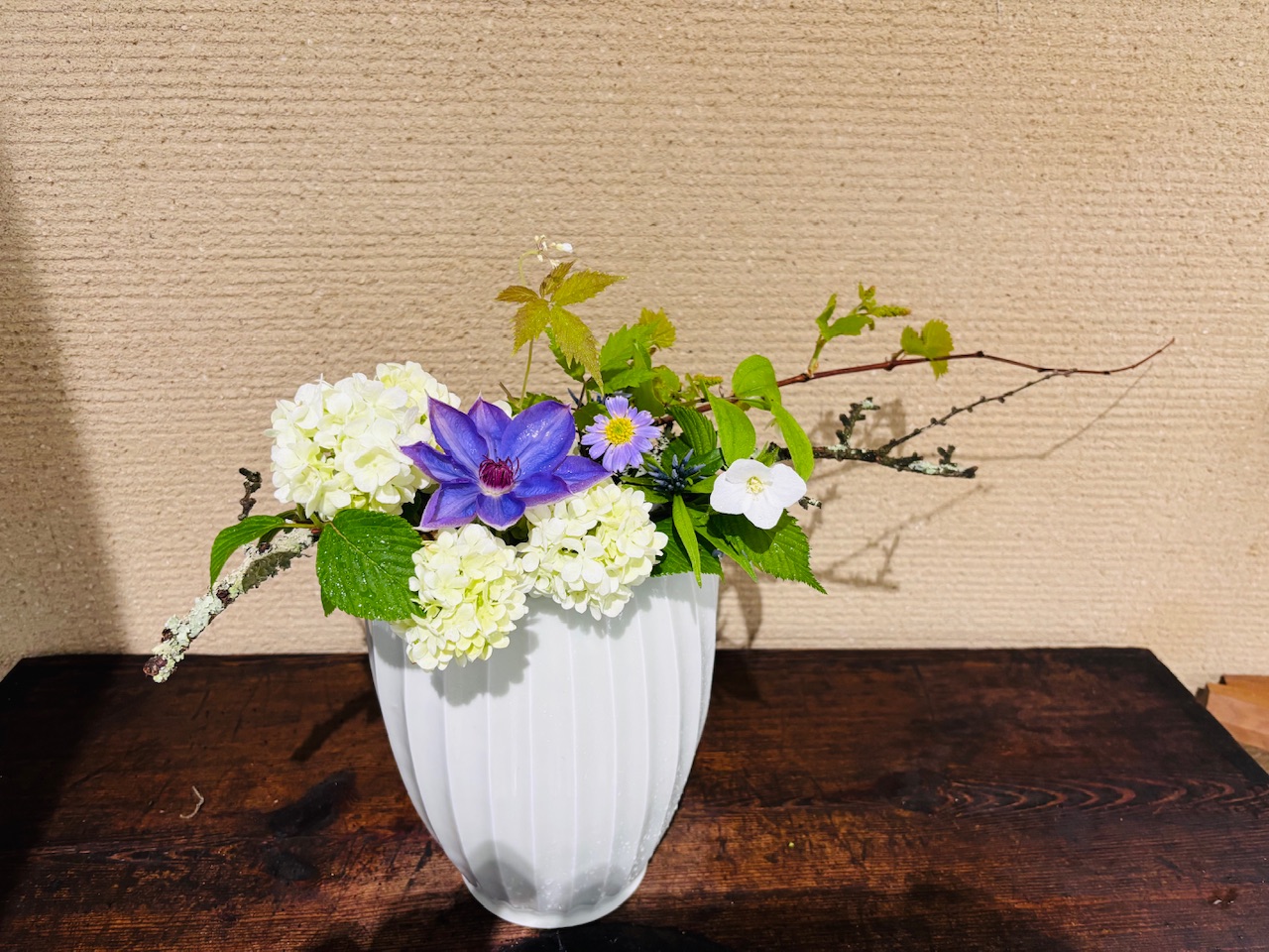 本日のクリニックの花々