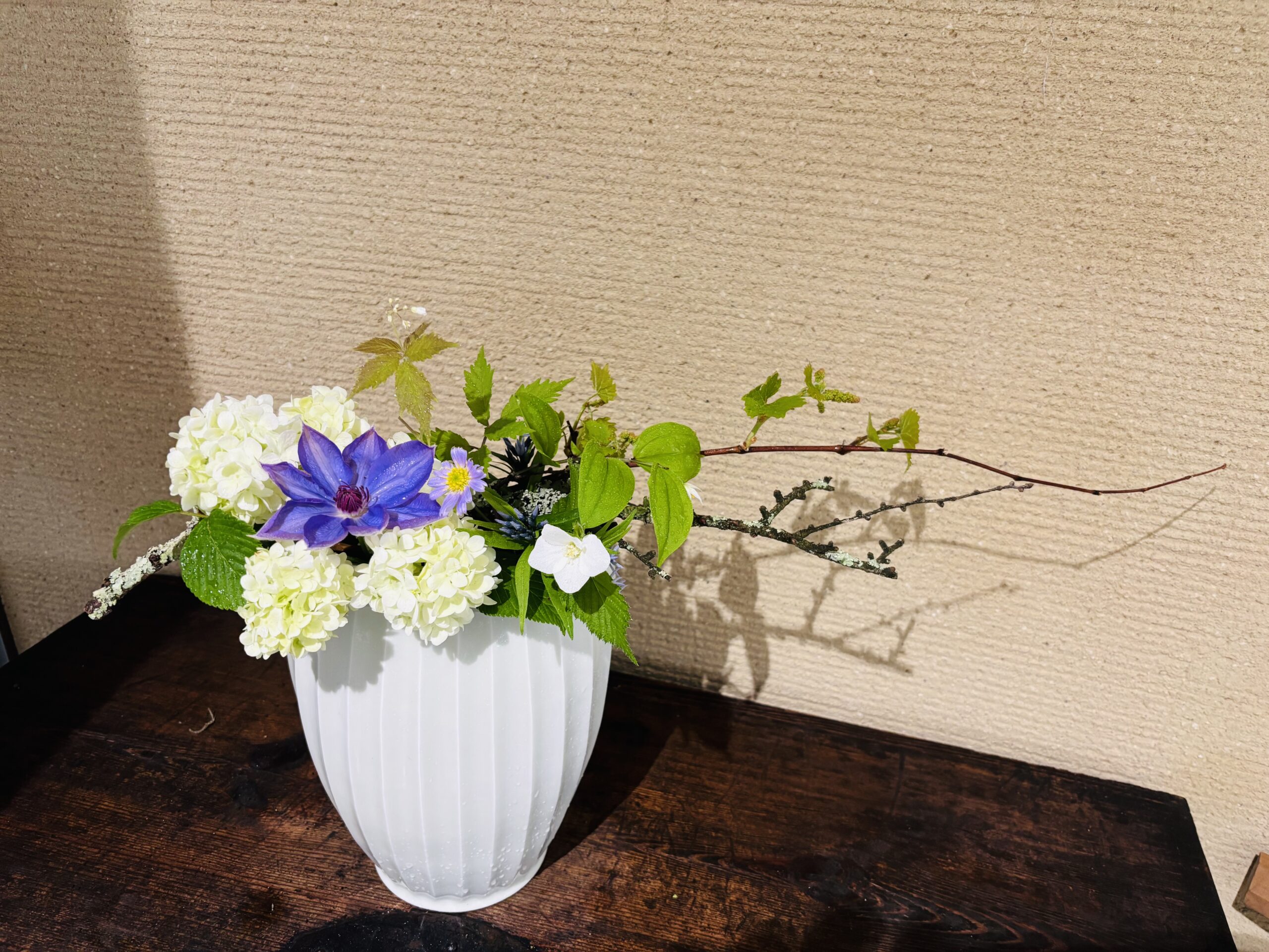 本日のクリニックの花々