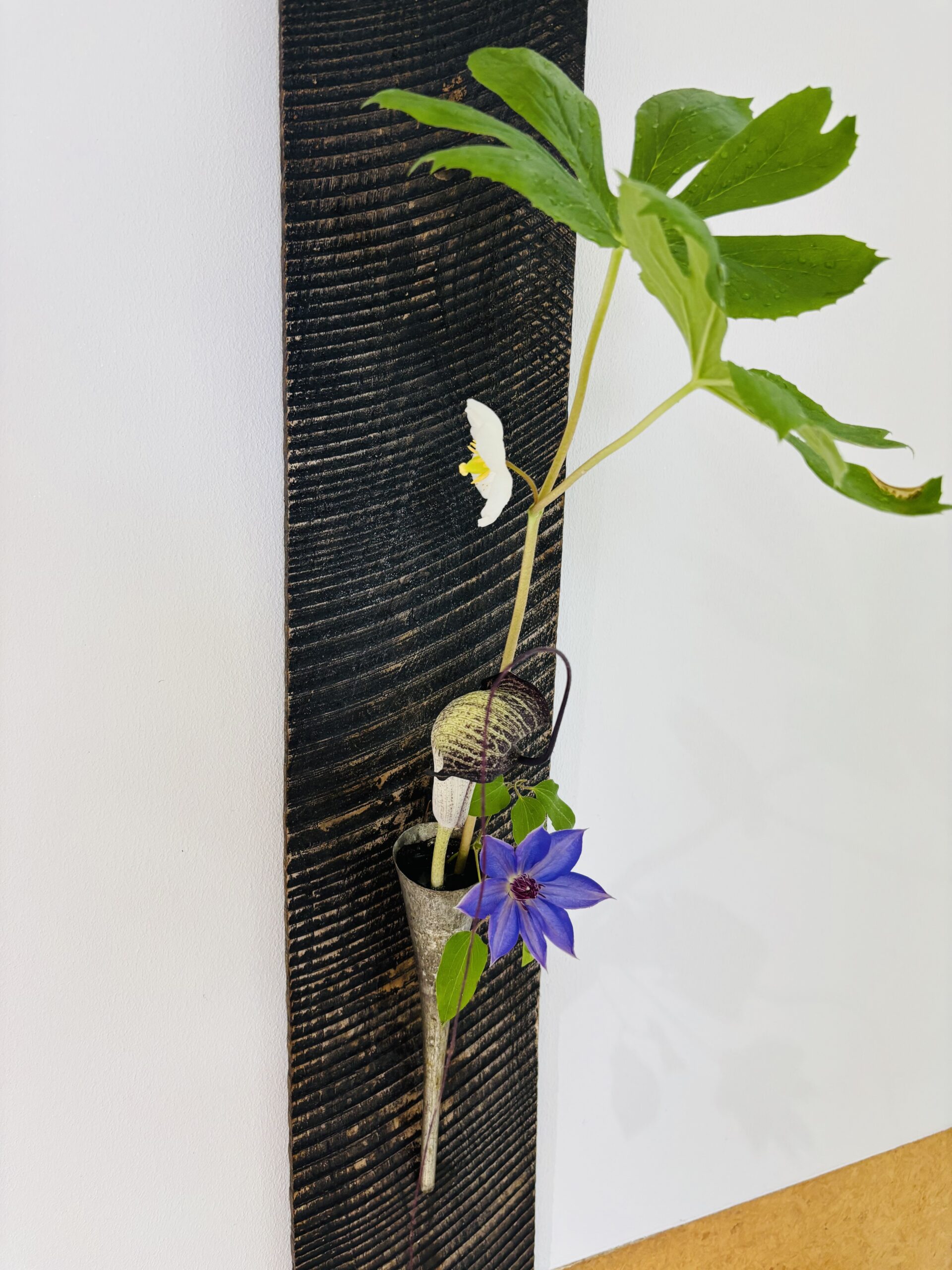 本日のクリニックの花々