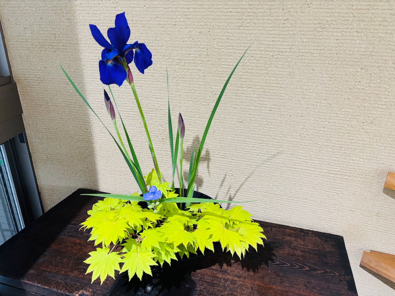 本日のクリニックの花々