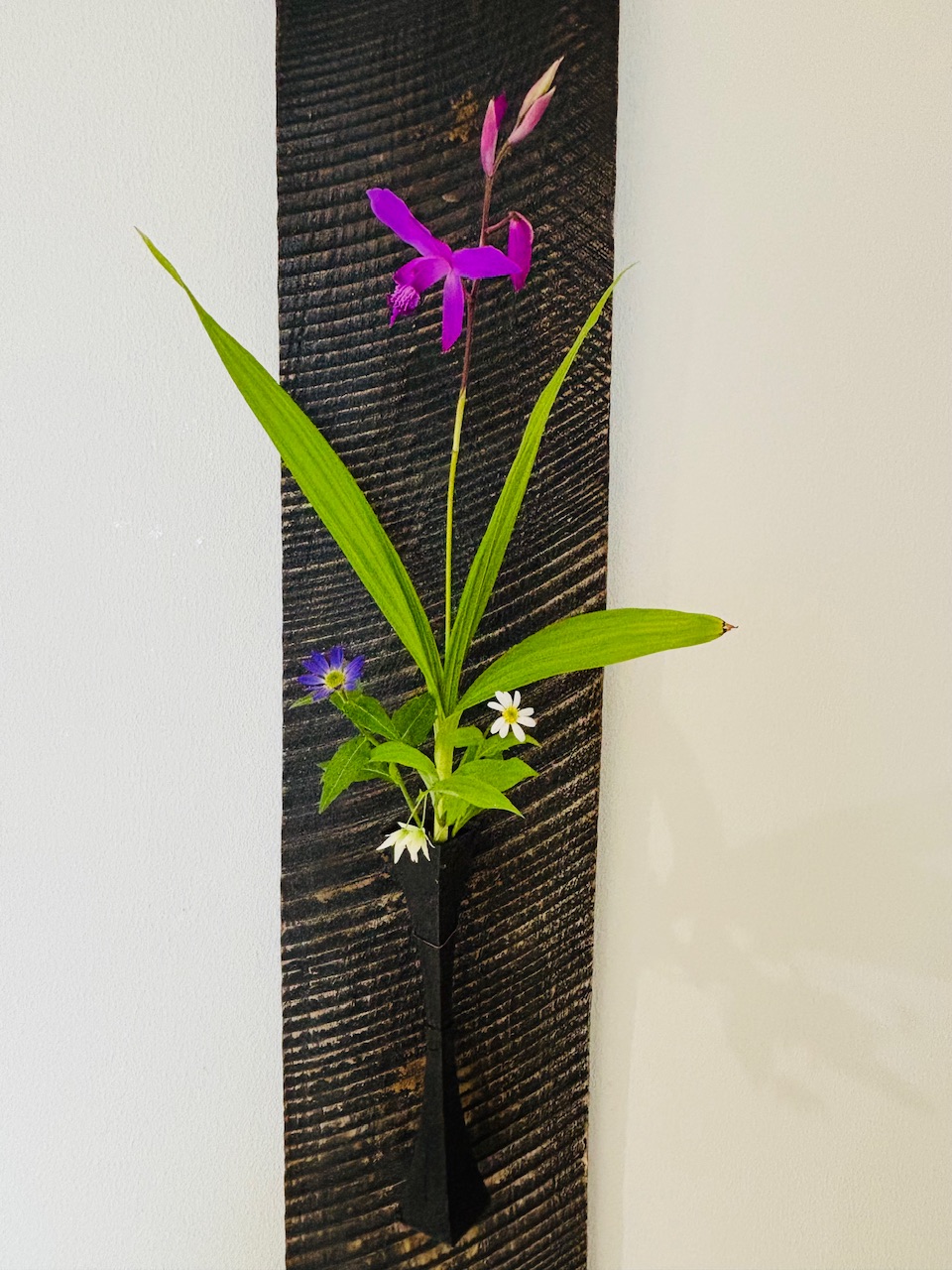 本日のクリニックの花々