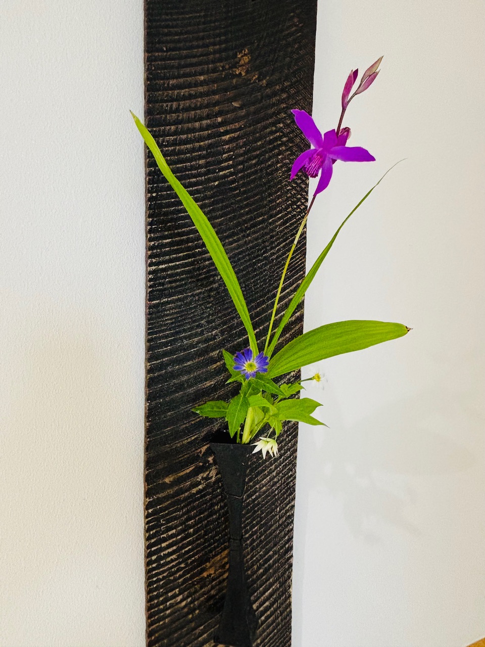 本日のクリニックの花々