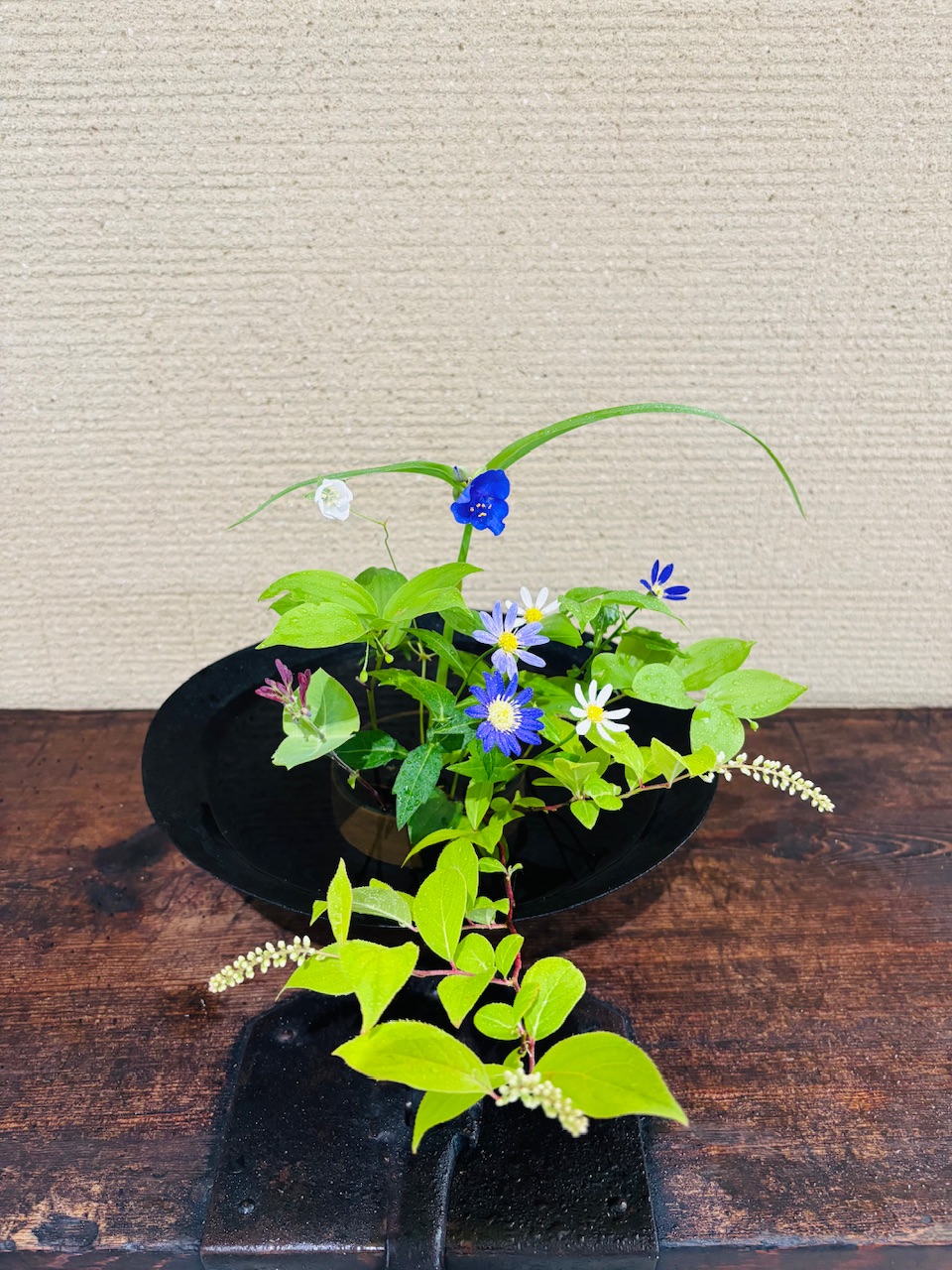 本日のクリニックの花々