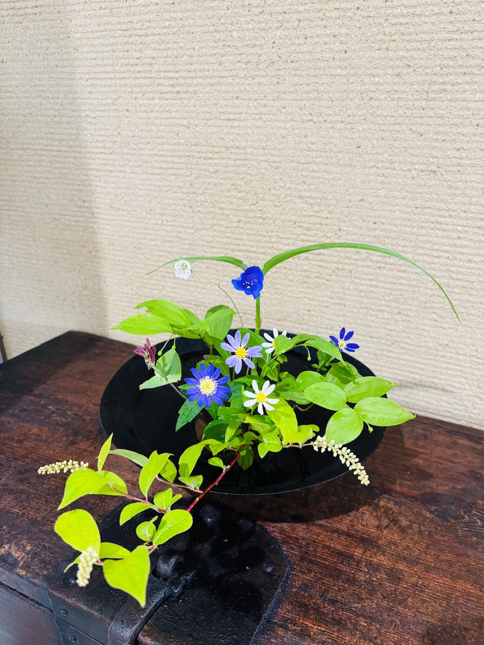 本日のクリニックの花々