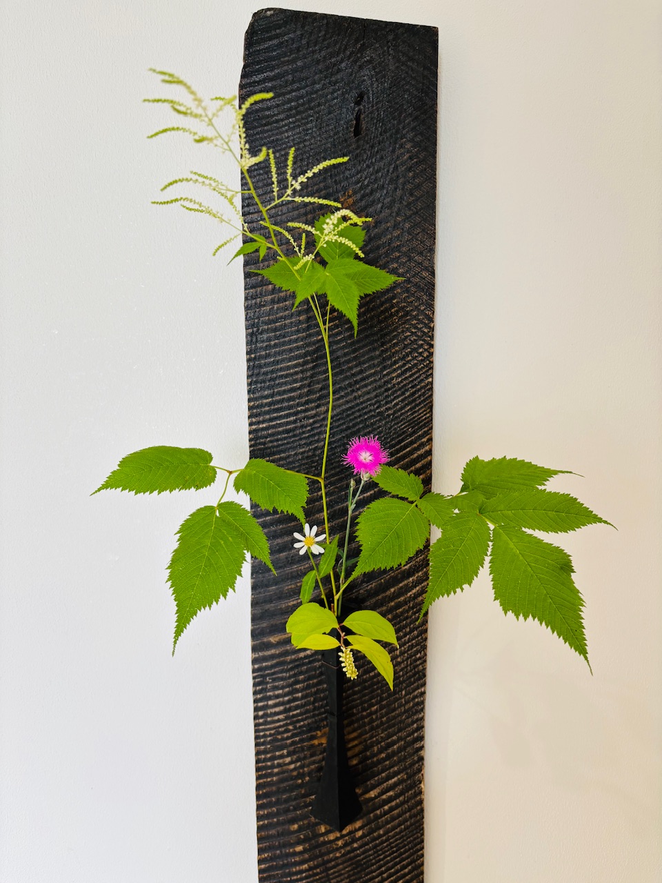 本日のクリニックの花々