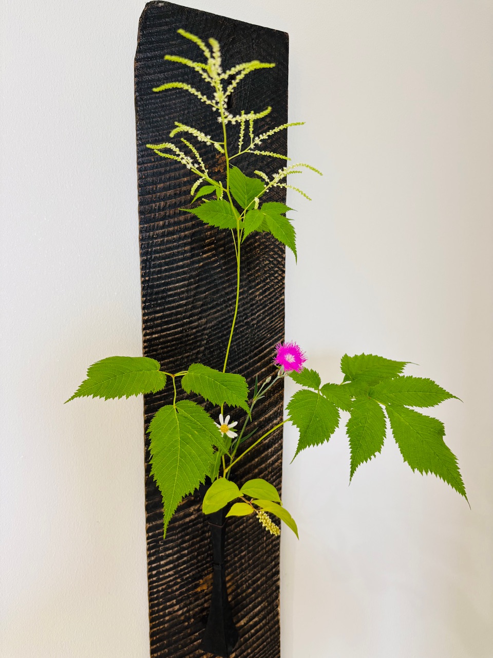 本日のクリニックの花々