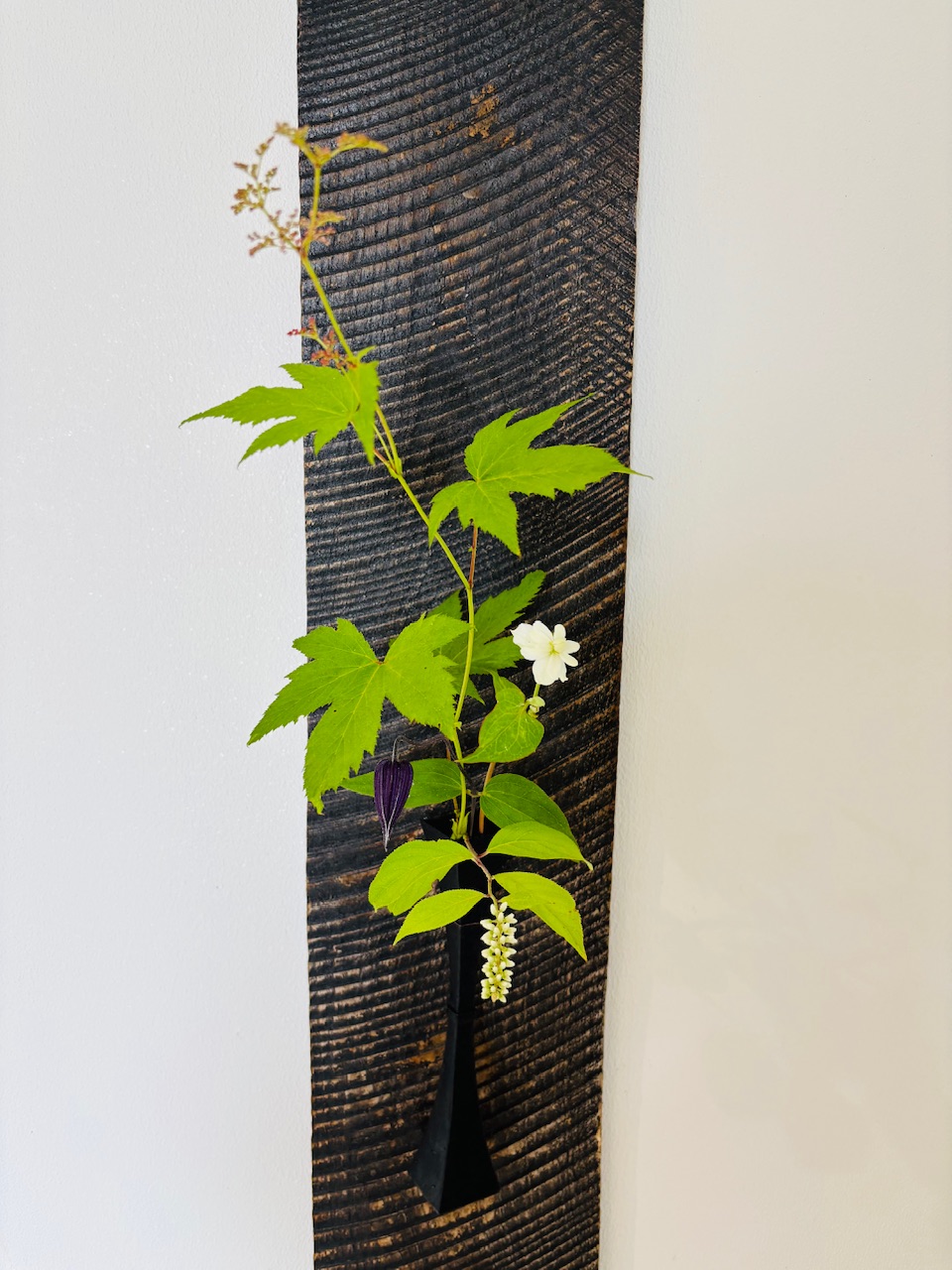 本日のクリニックの花々