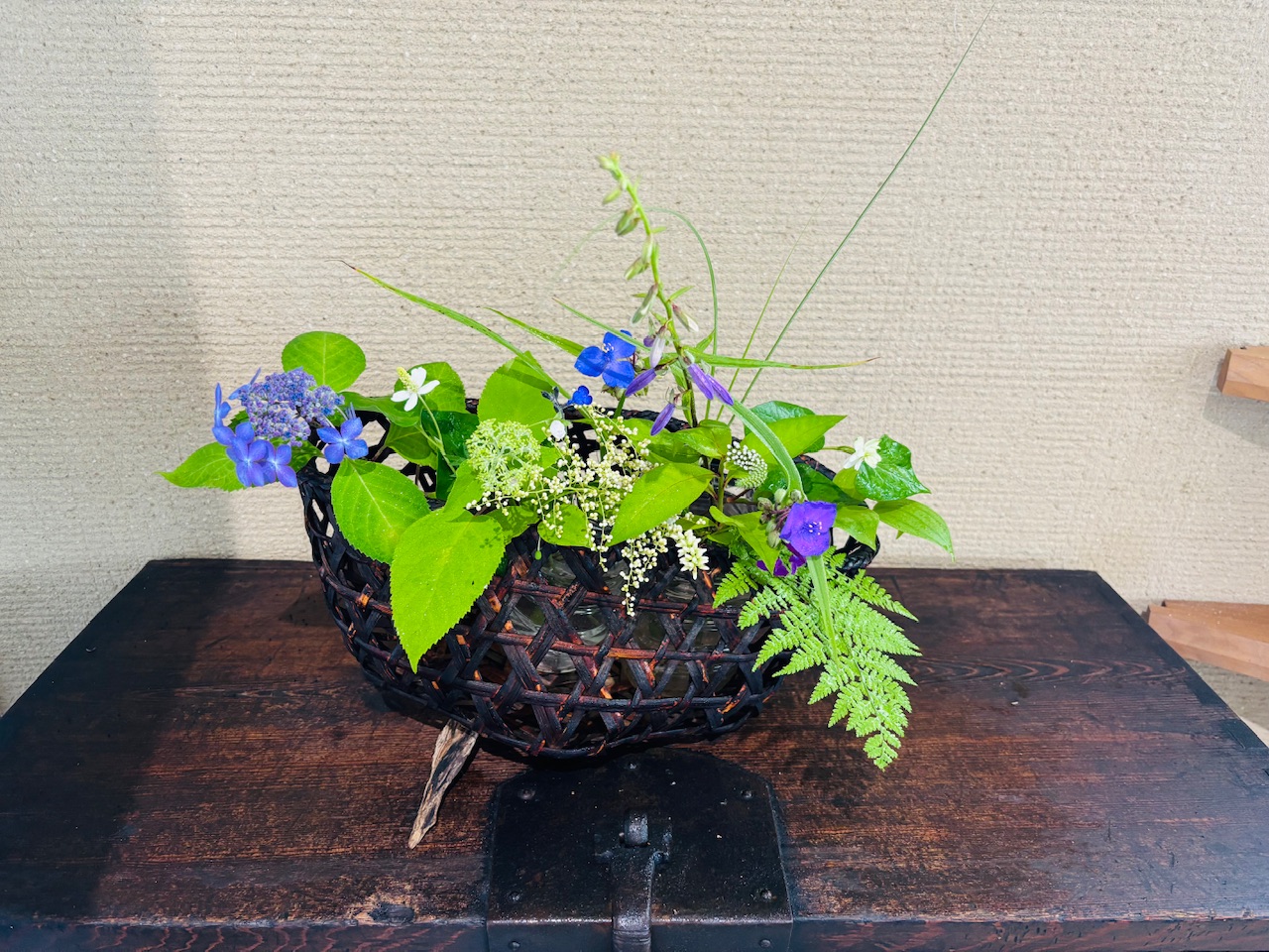 本日のクリニックの花々
