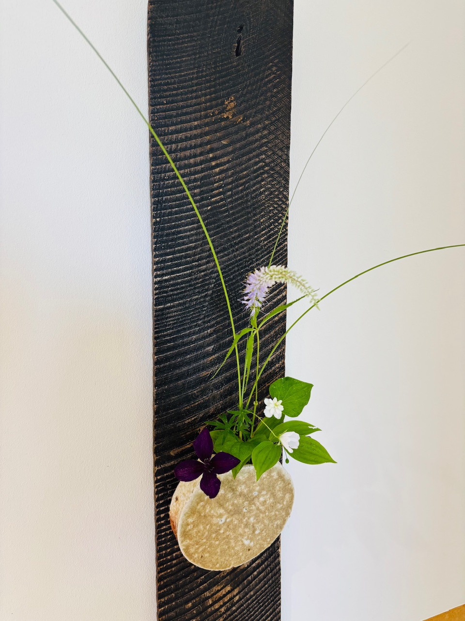 本日のクリニックの花々