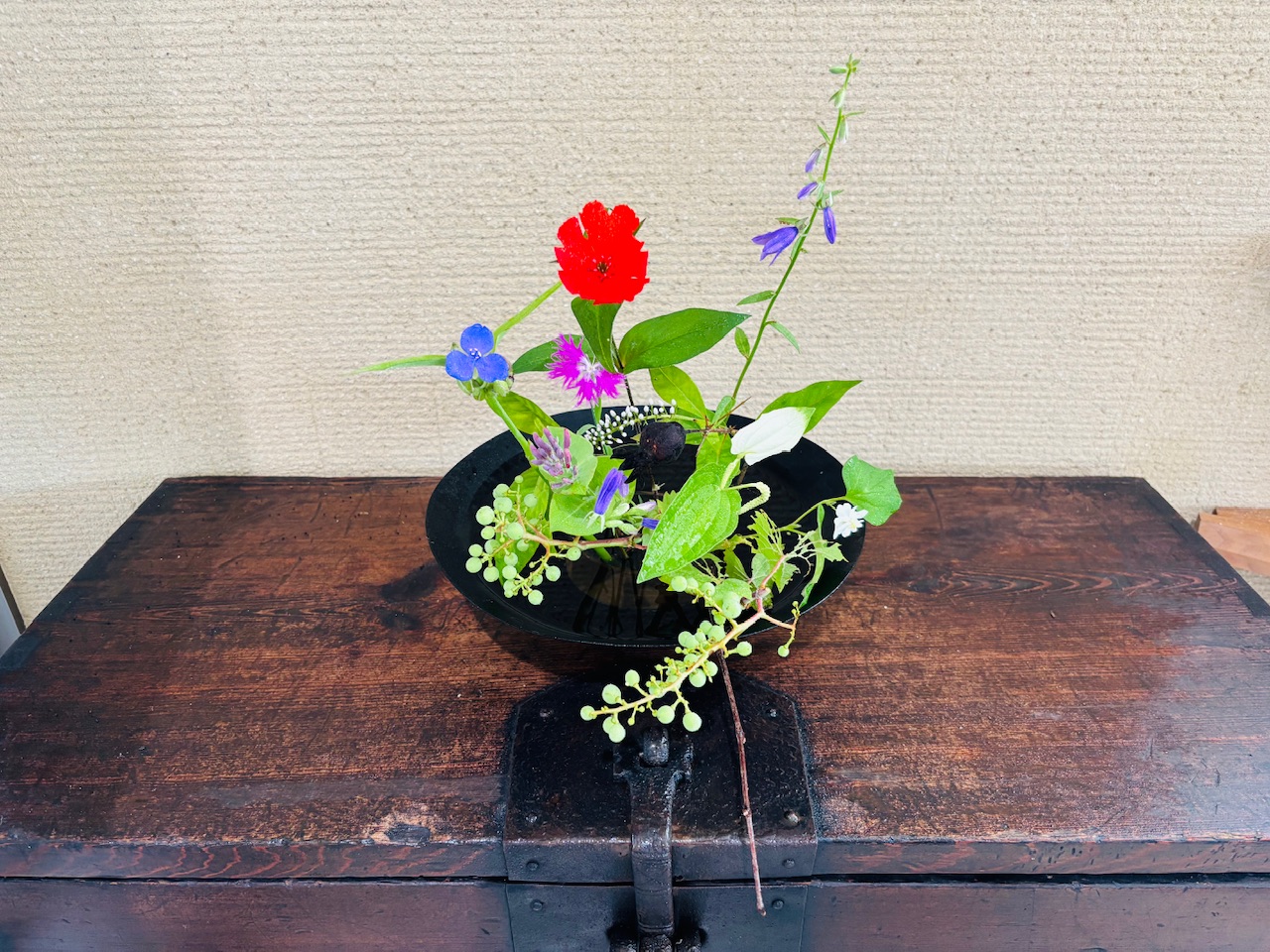 本日のクリニックの花々