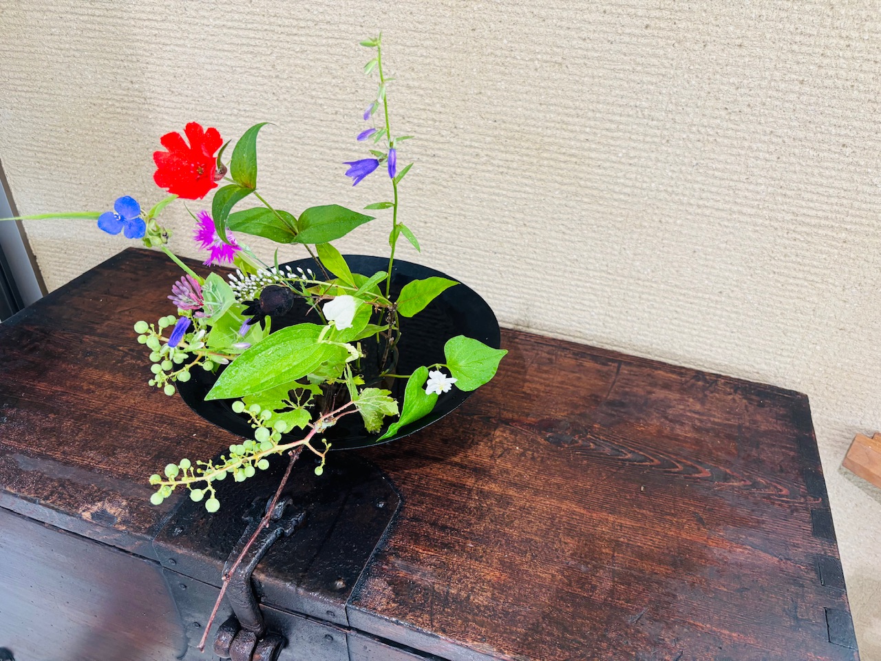 本日のクリニックの花々