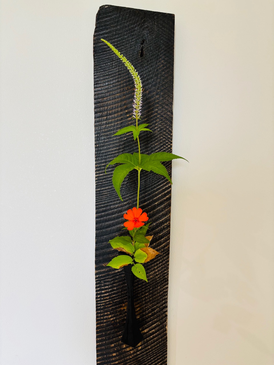 本日のクリニックの花々