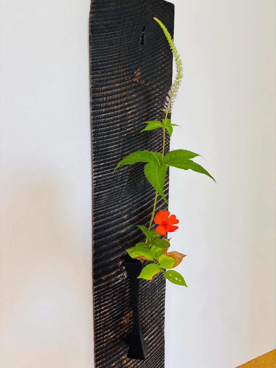 本日のクリニックの花々