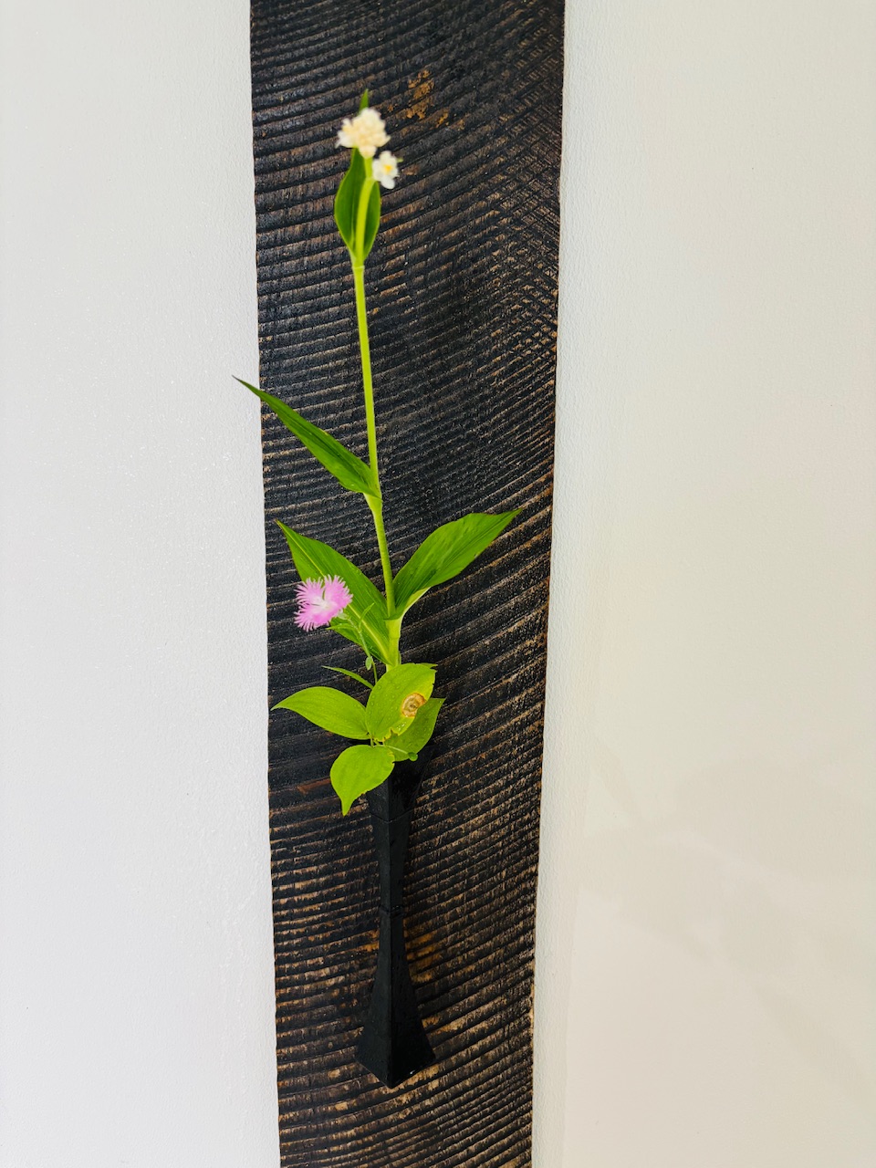 本日のクリニックの花々