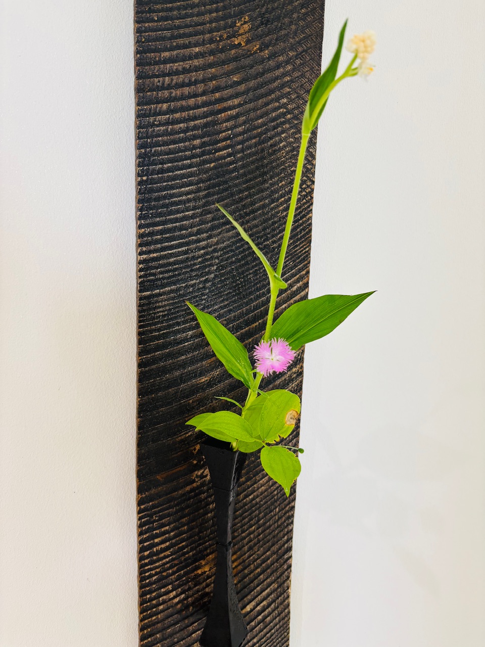 本日のクリニックの花々