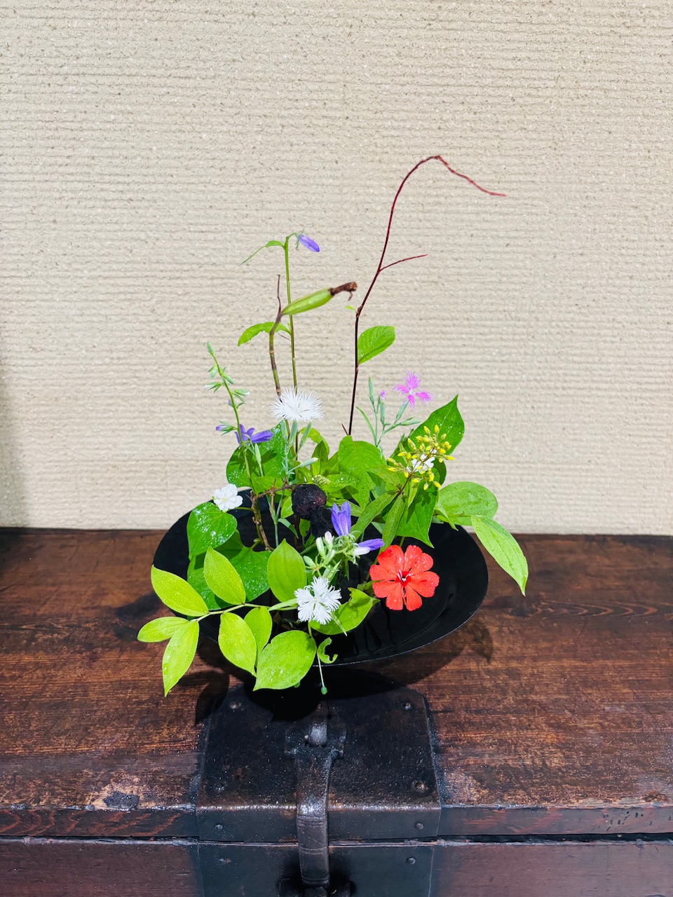 本日のクリニックの花々