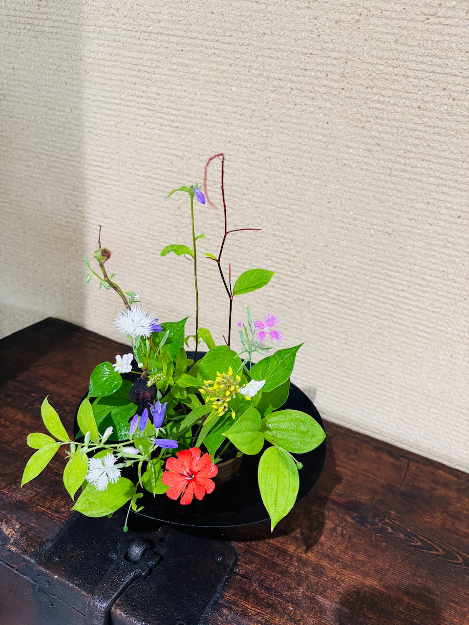 本日のクリニックの花々