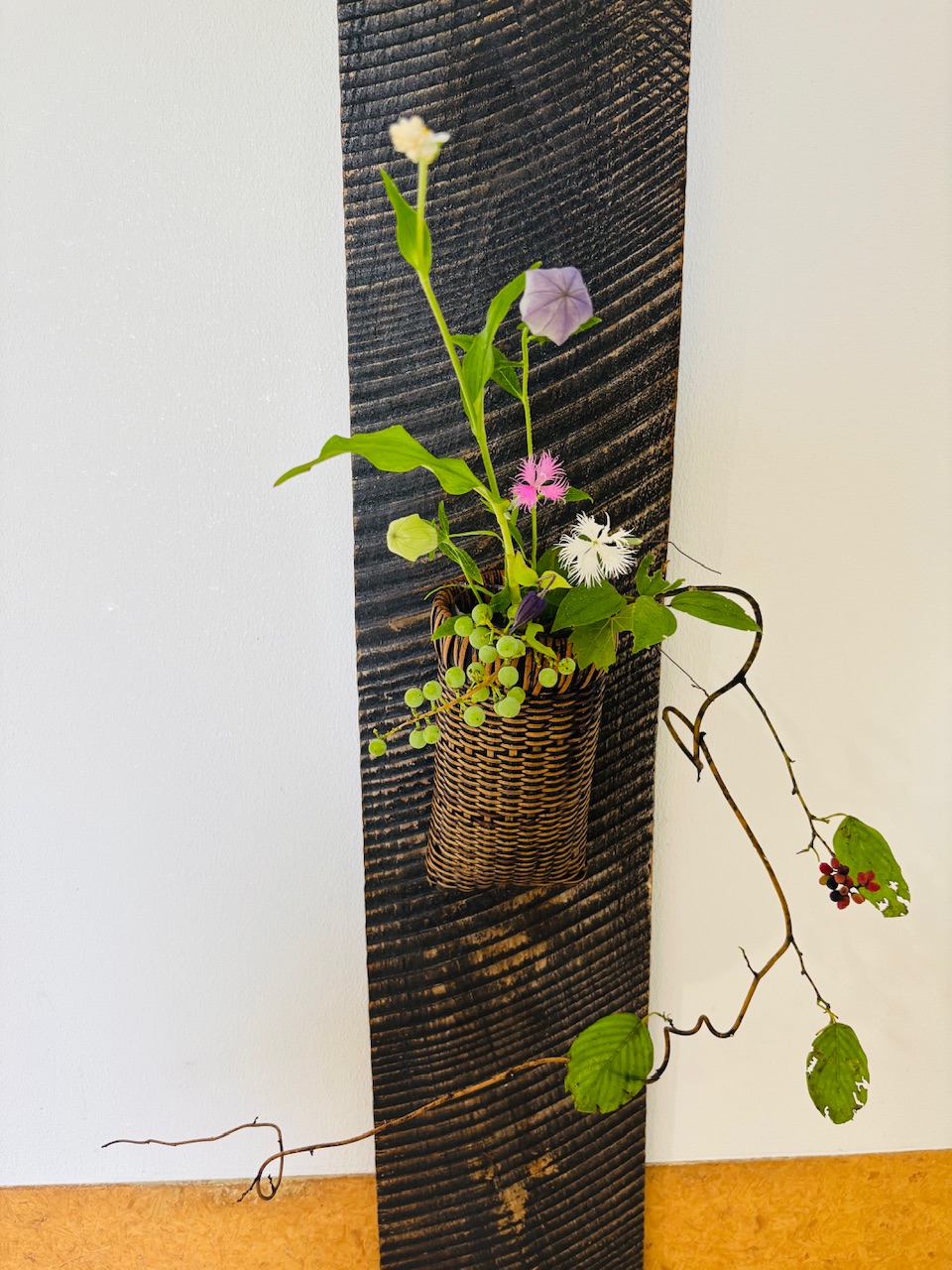 本日のクリニックの花々