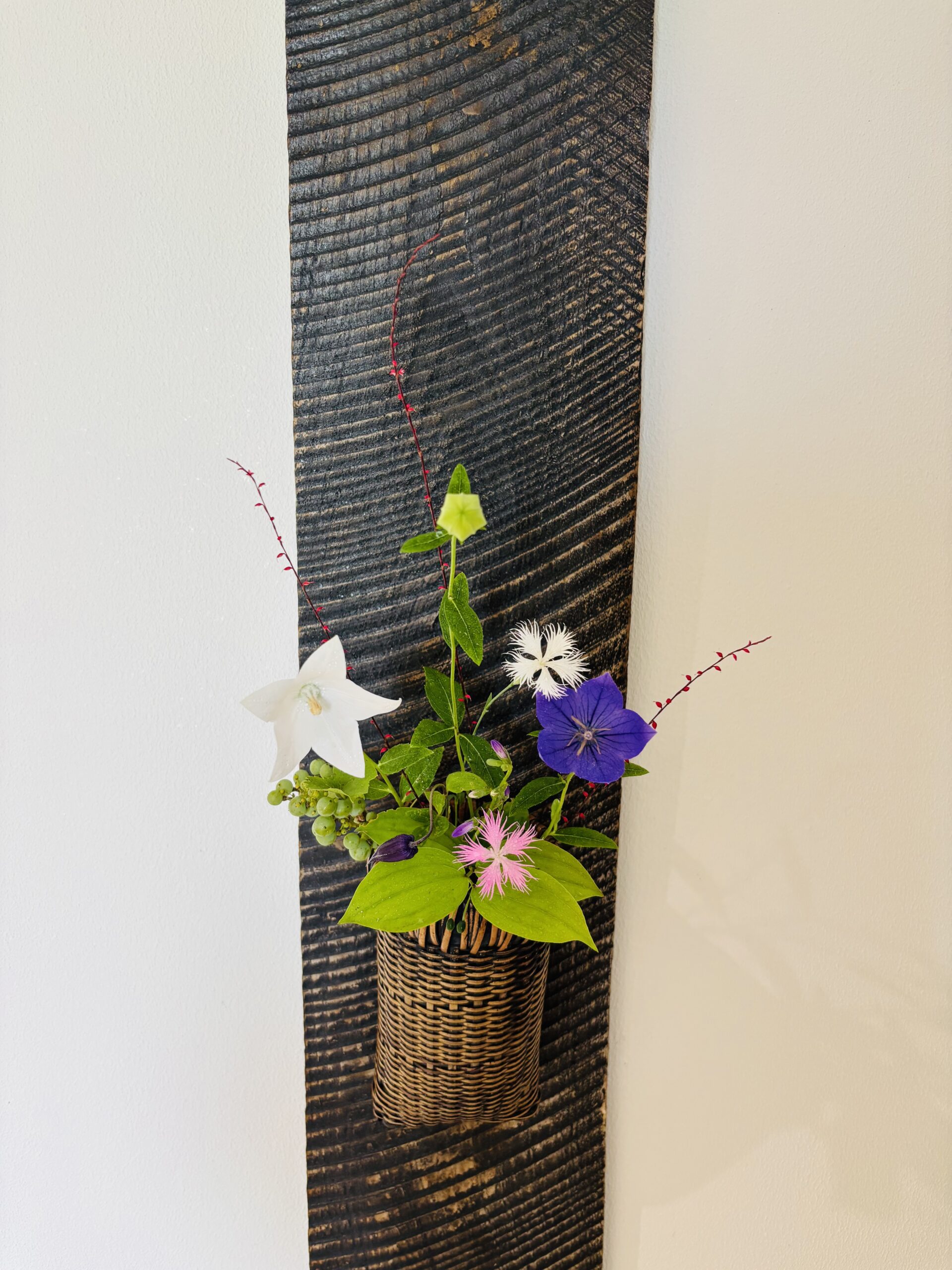 本日のクリニックの花々