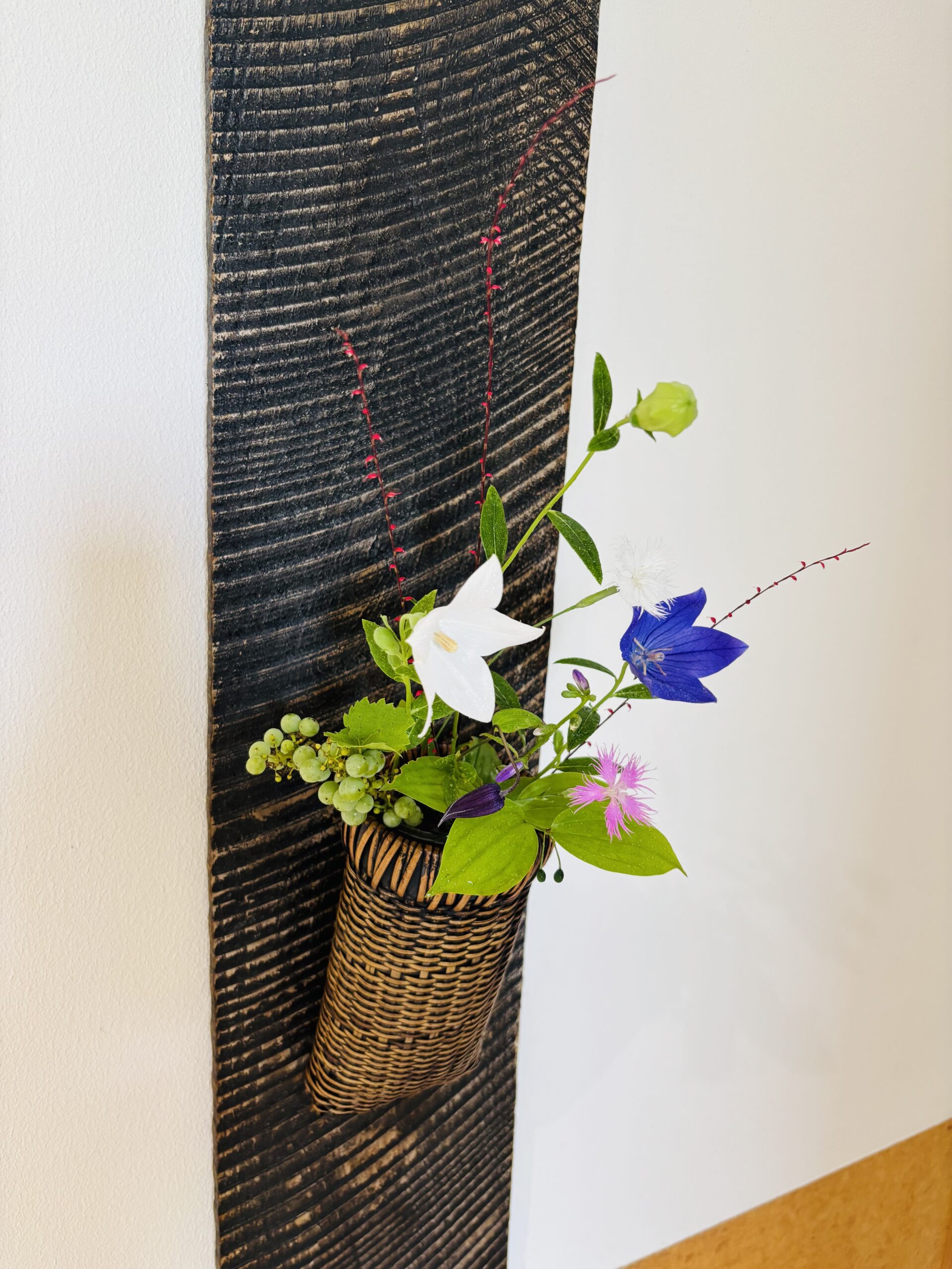 本日のクリニックの花々