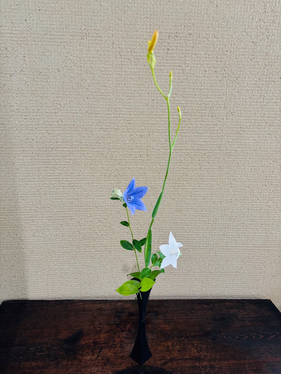 本日のクリニックの花々