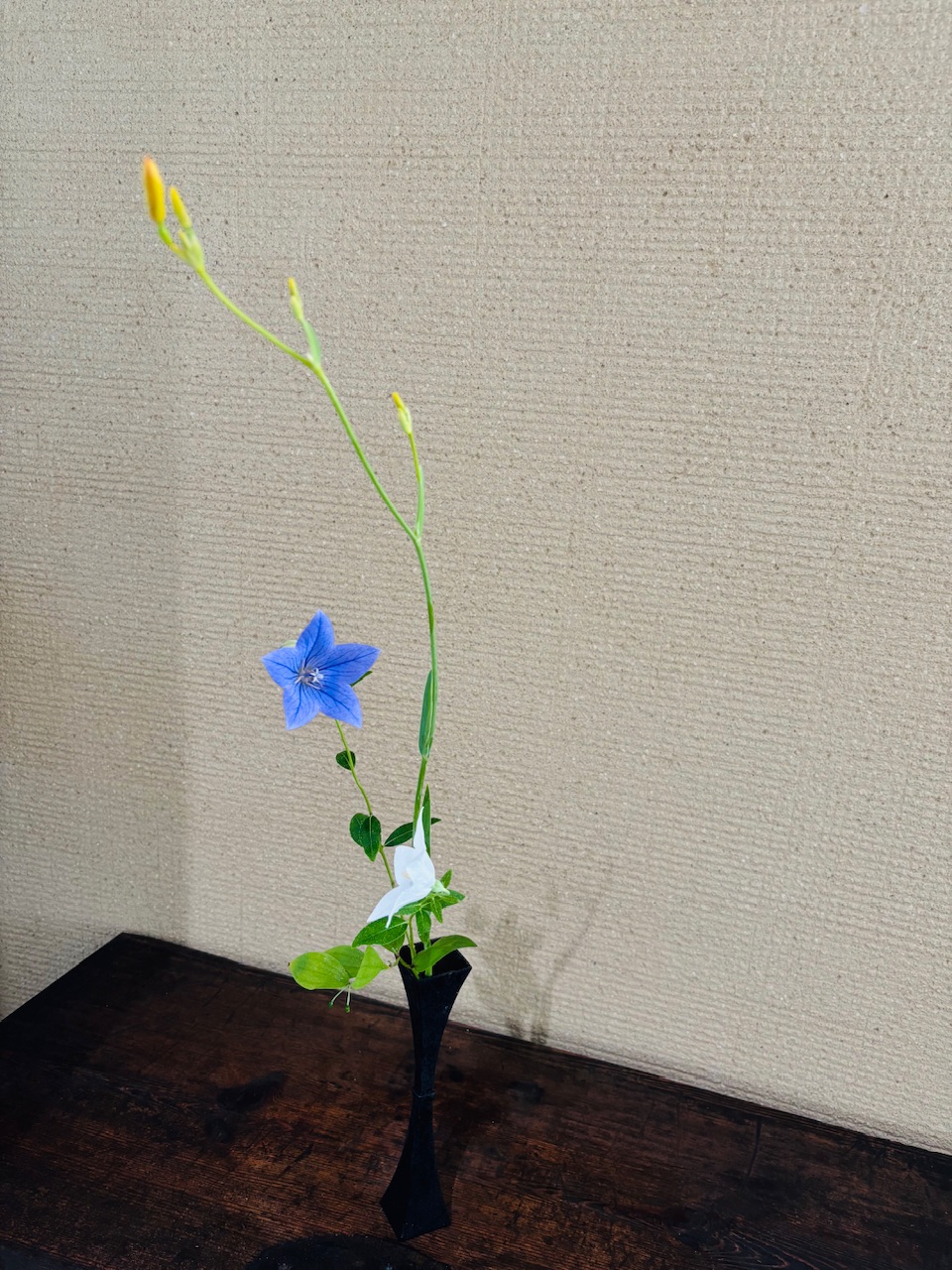 本日のクリニックの花々