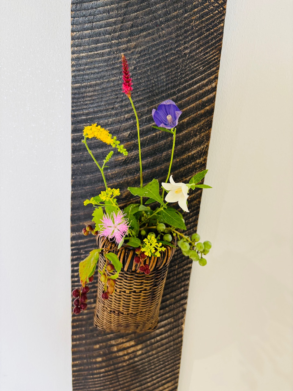 本日のクリニックの花々