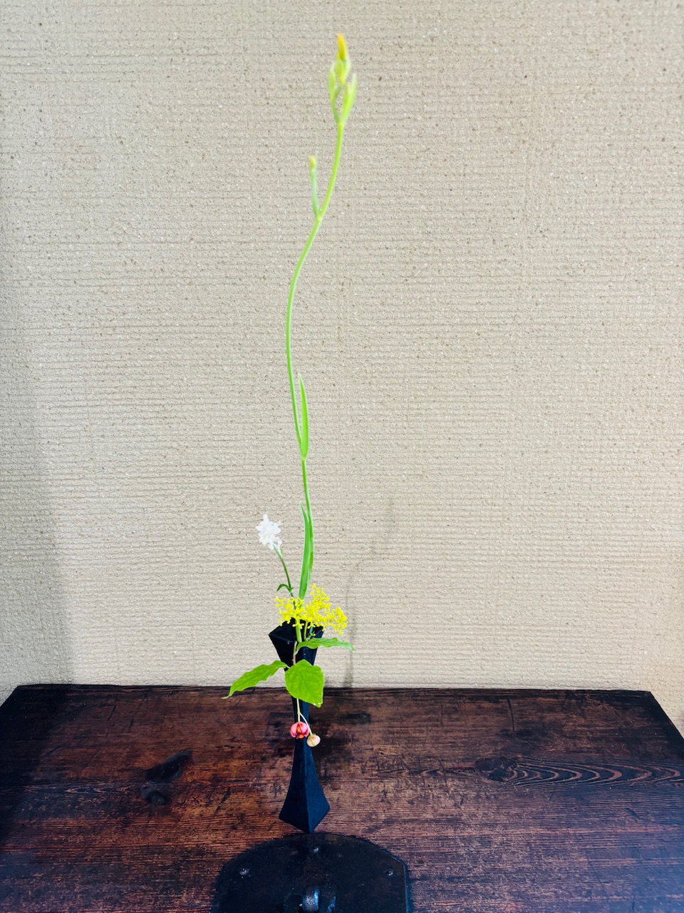 本日のクリニックの花々