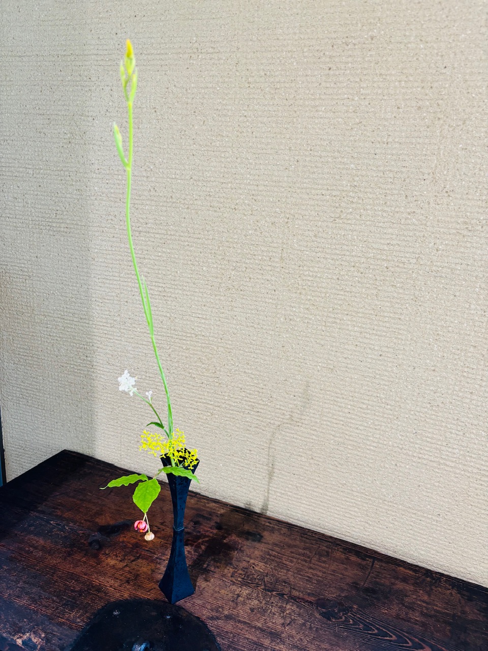 本日のクリニックの花々