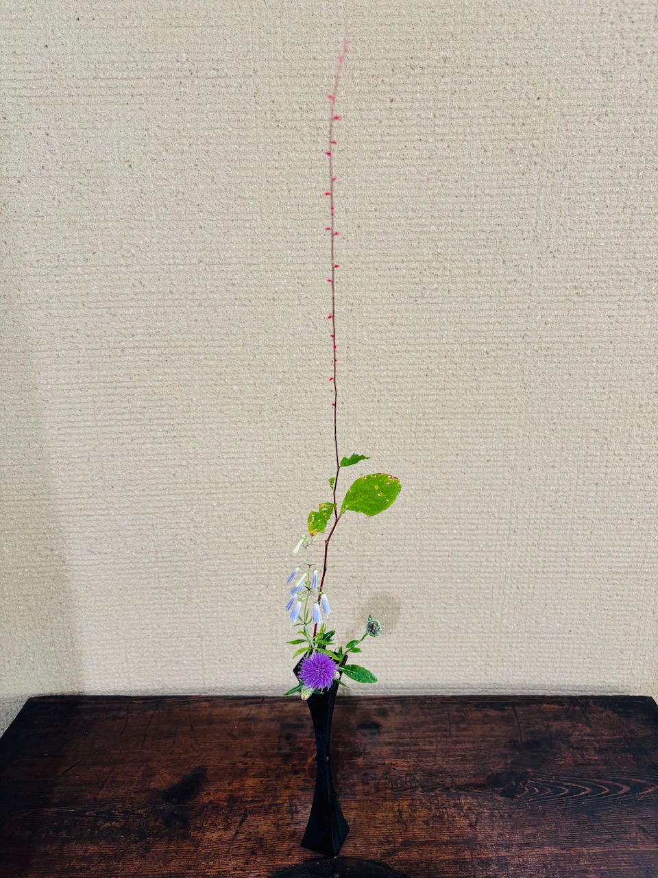 本日のクリニックの花々