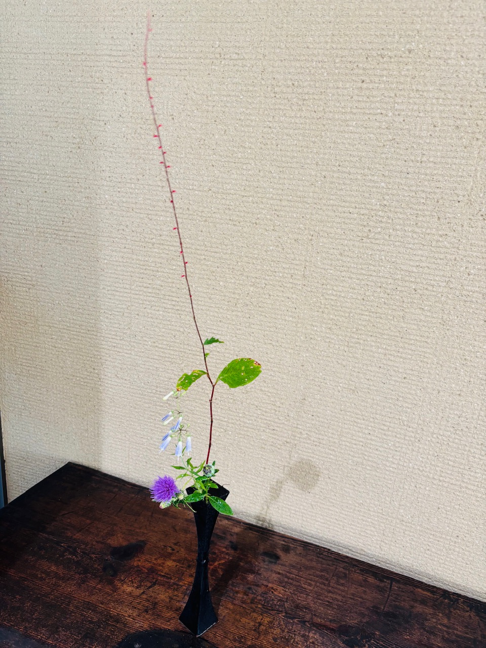 本日のクリニックの花々