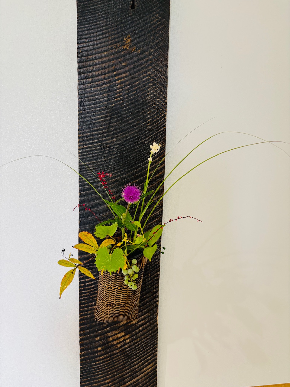 本日のクリニックの花々