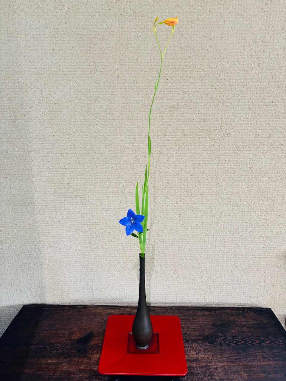 本日のクリニックの花々