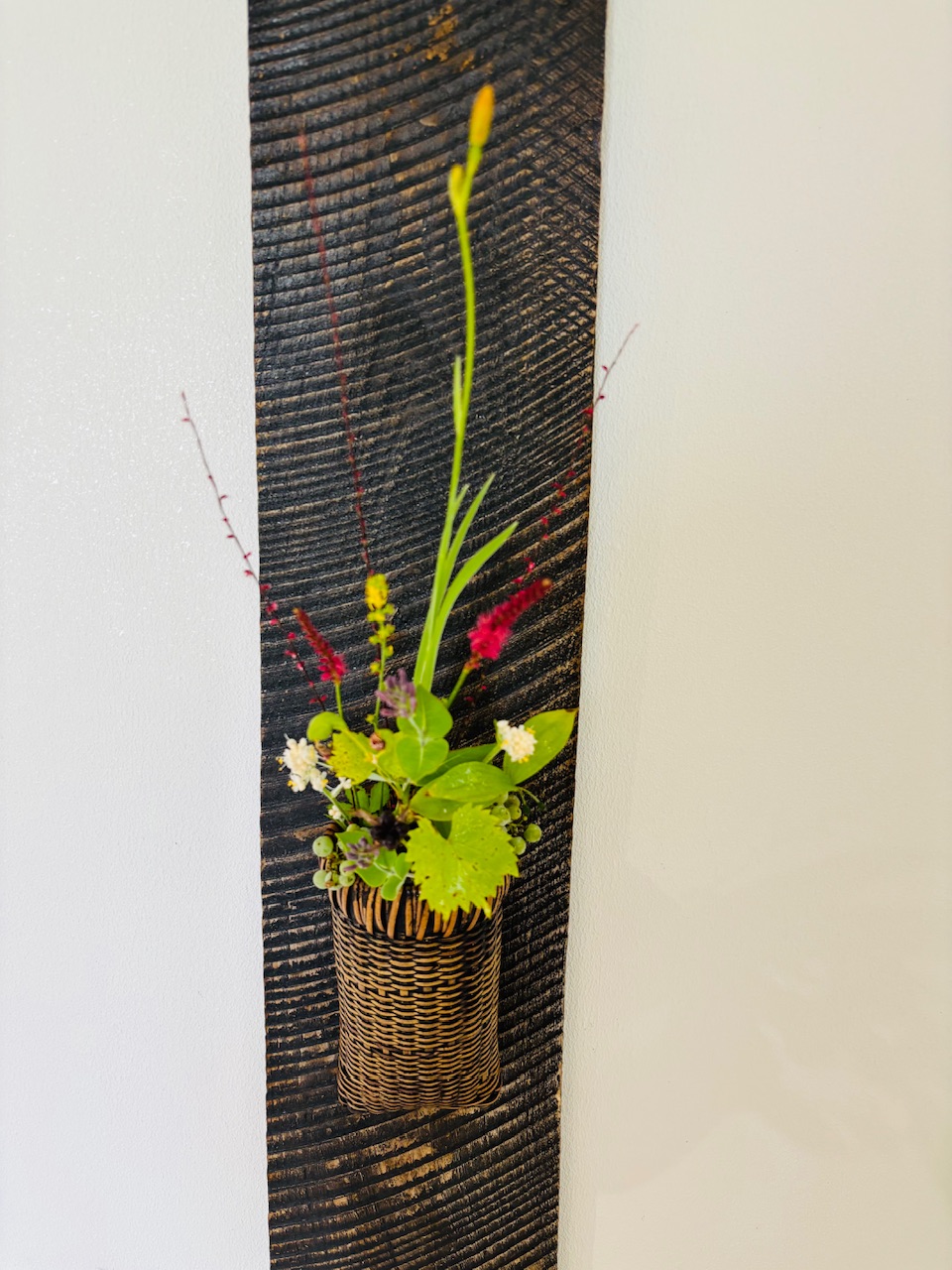 本日のクリニックの花々
