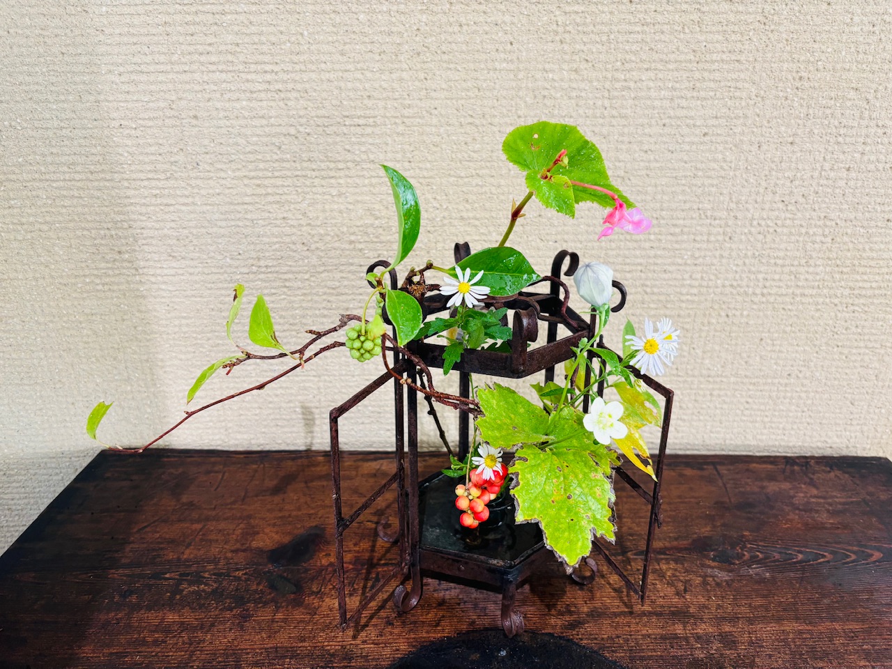 本日のクリニックの花々