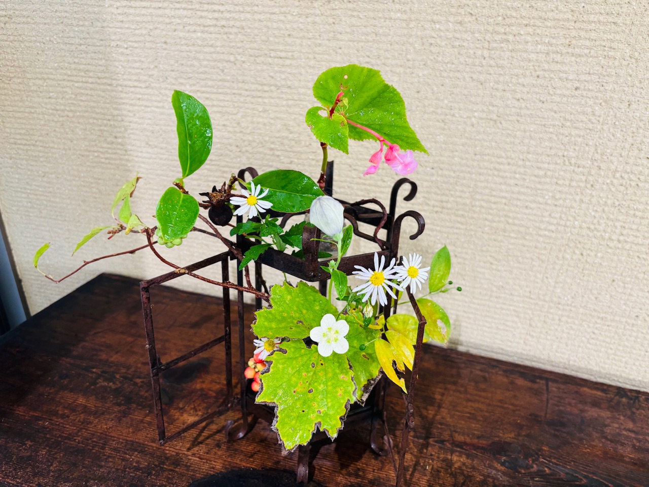 本日のクリニックの花々