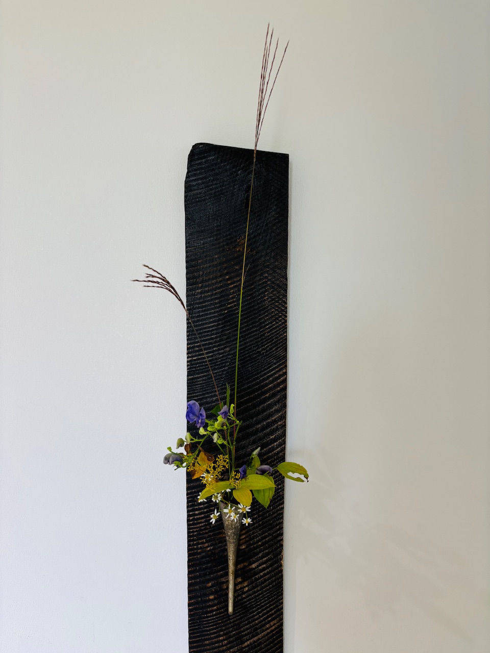 本日のクリニックの花々