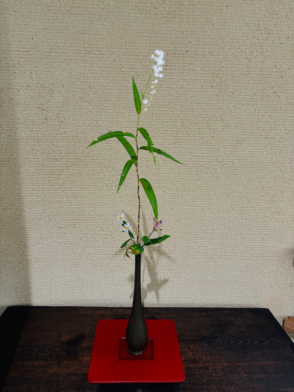 本日のクリニックの花々