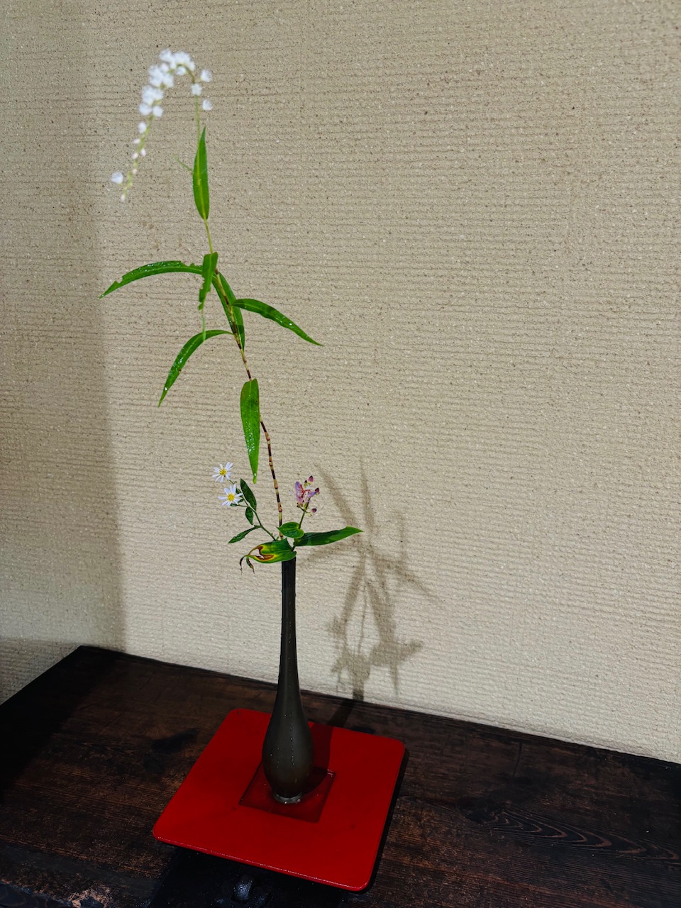 本日のクリニックの花々