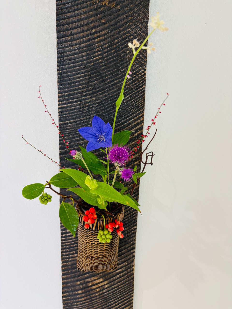本日のクリニックの花々
