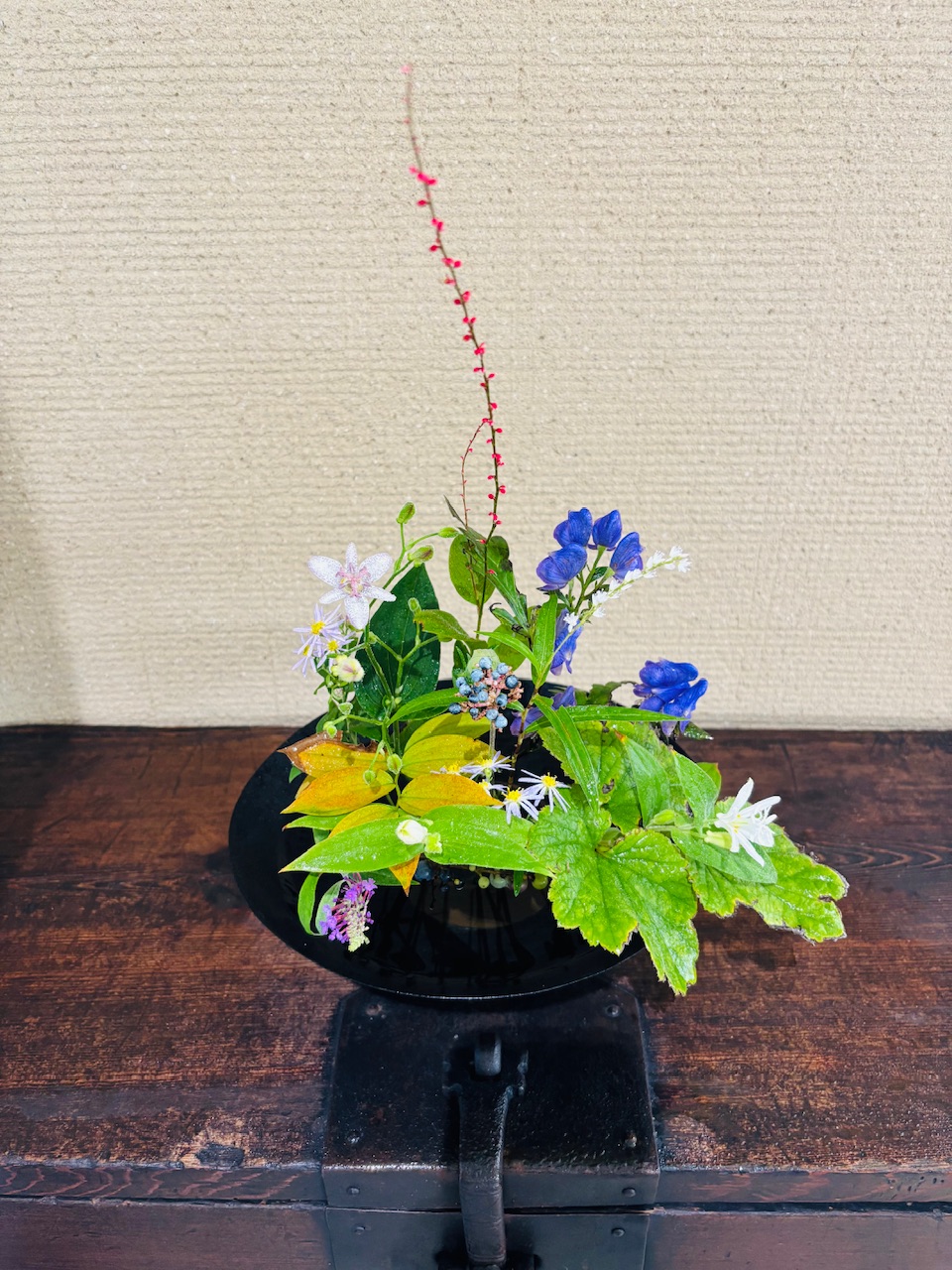 本日のクリニックの花々