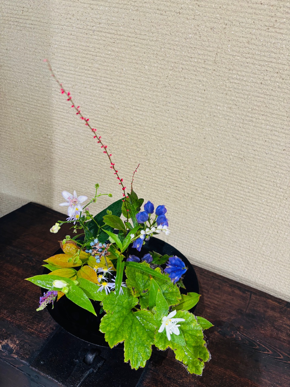 本日のクリニックの花々