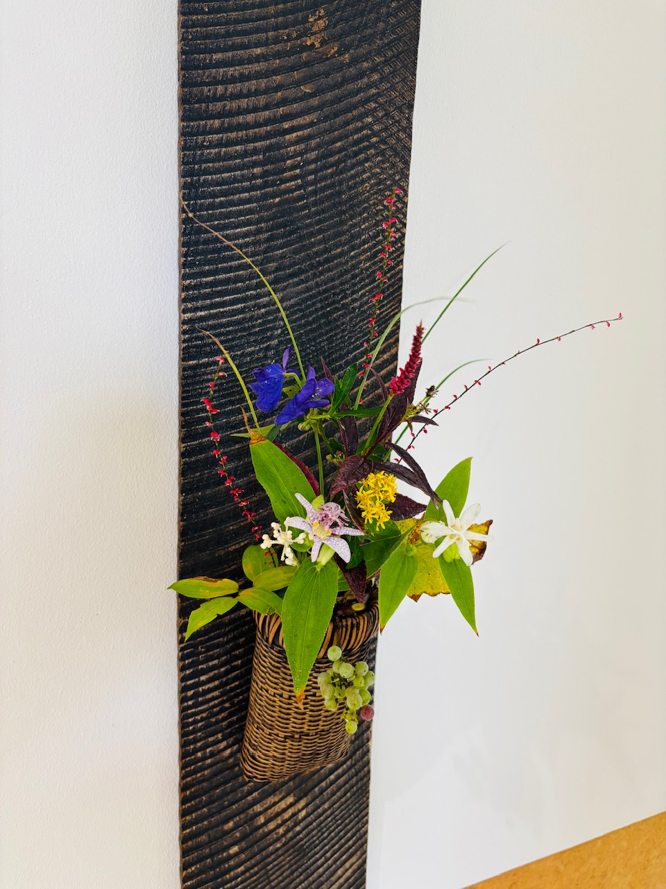 本日のクリニックの花々