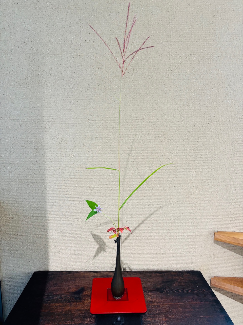 本日のクリニックの花々