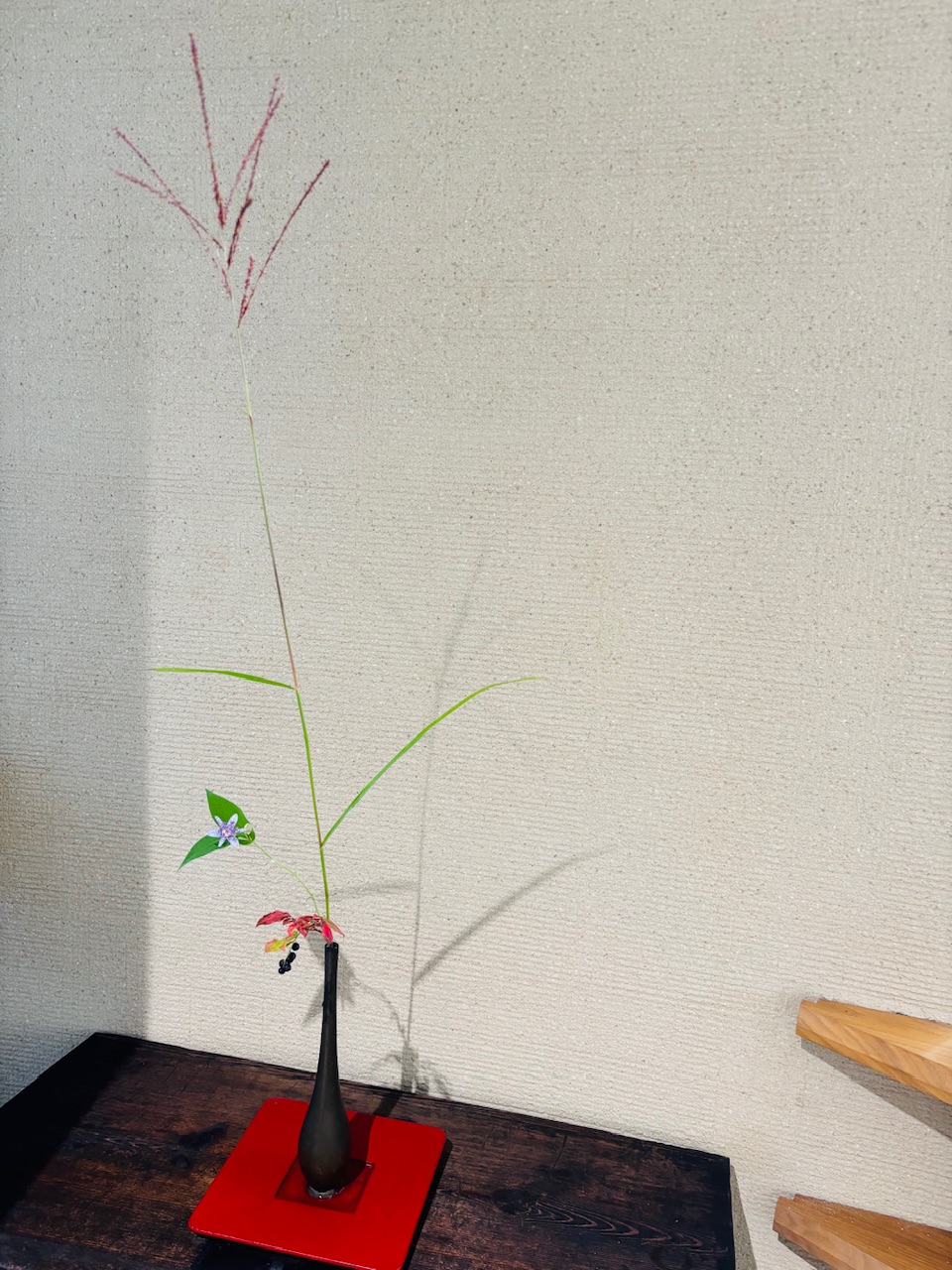 本日のクリニックの花々