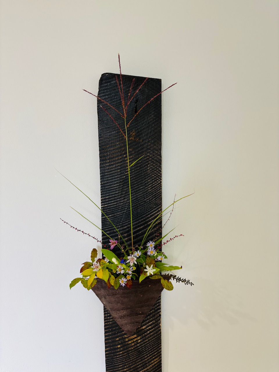 本日のクリニックの花々