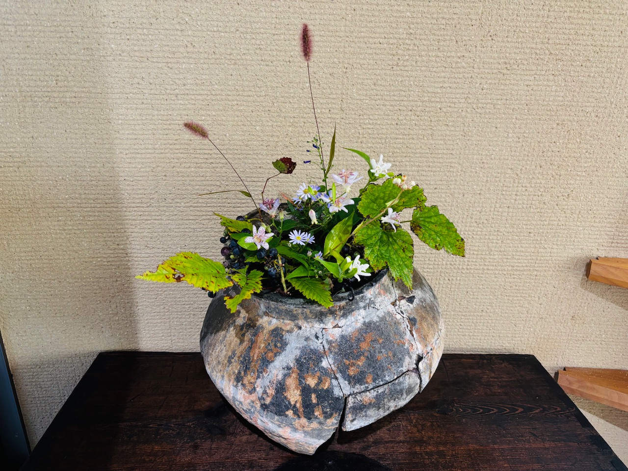 本日のクリニックの花々