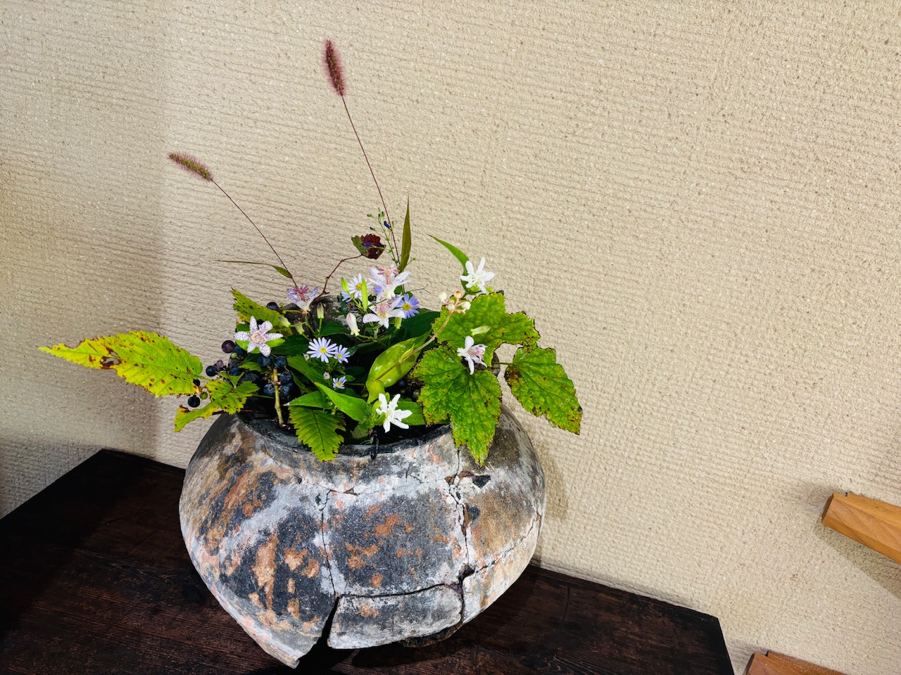 本日のクリニックの花々